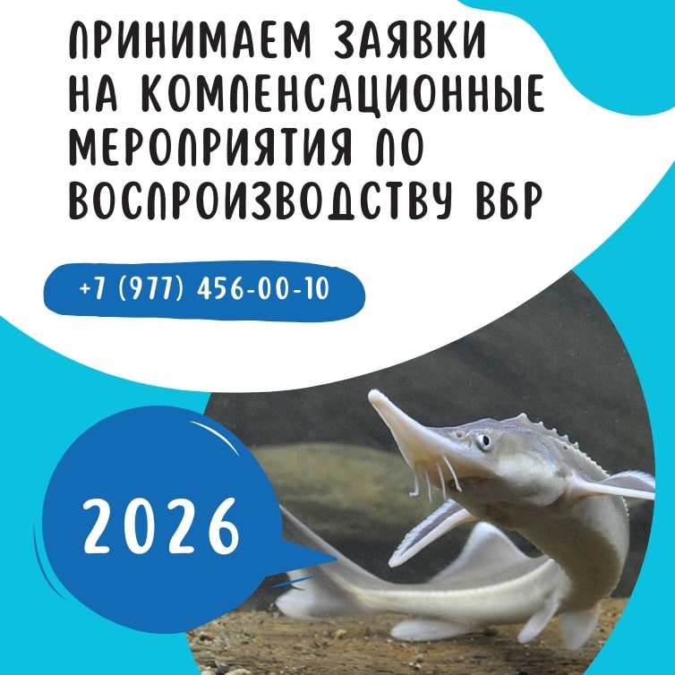 Компенсационные мероприятия