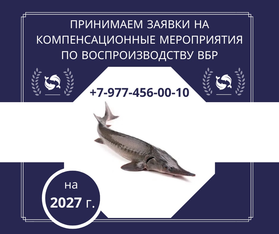 Прием заявок на компенсационные мероприятия по искусственному воспроизводству ВБР на 2027 год